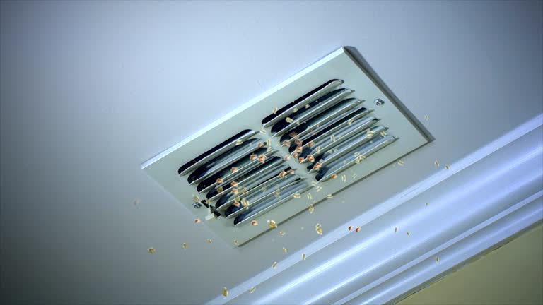 Best HVAC Air Duct Cleaning  in Eugene, OR