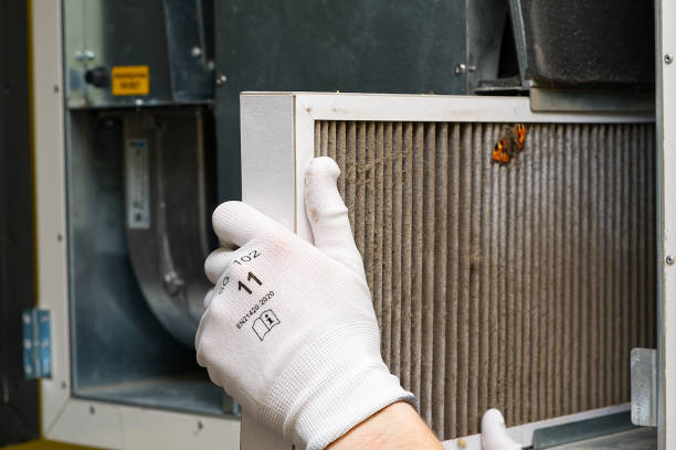 Best Air Duct Mold Removal  in Eugene, OR