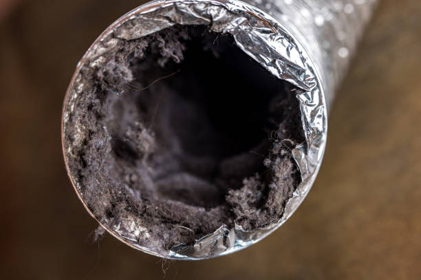 Best Air Duct Cleaning Near Me  in Eugene, OR